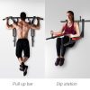Wall Mounted Pull Up Bar & Dip Station
